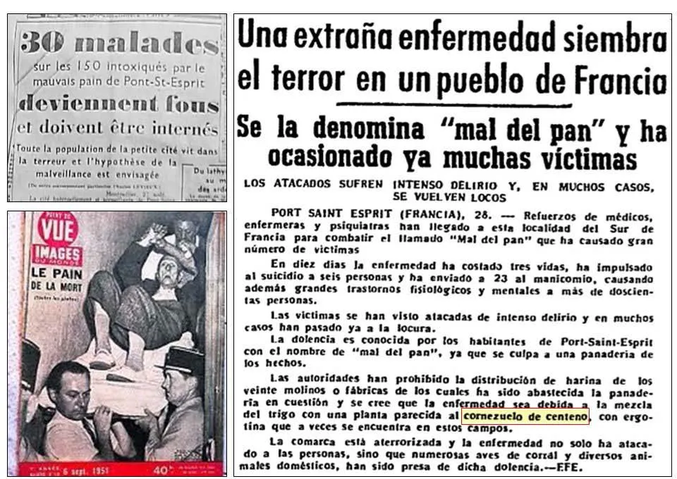 Publica&ccedil;&atilde;o cient&iacute;fica de Gabbai, Lisbonne e Pourquier no British Medical Journal, p&aacute;ginas 650&ndash;651. &Eacute; uma fonte prim&aacute;ria essencial para mostrar a hip&oacute;tese de ergotismo levantada ainda naquele ano.